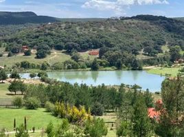 在Ocampo, Guanajuato出售的 土地, Ocampo