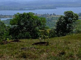  Land for sale in La Chorrera, Panama Oeste, Mendoza, La Chorrera