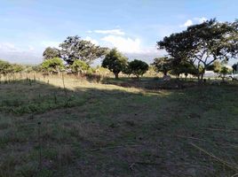  Villa zu verkaufen in Quito, Pichincha, Tumbaco