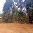  Land for sale in Chile, Quilpue, Valparaiso, Valparaiso, Chile