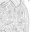  Terreno (Parcela) en venta en Calamba City, Calabarzon, Calamba City, Laguna, Calabarzon, Filipinas