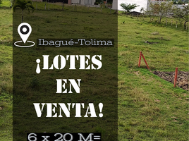  Land for sale in Tolima, Ibague, Tolima