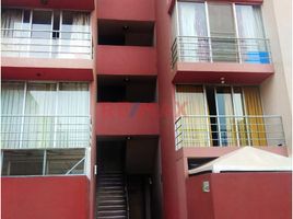 3 Schlafzimmer Appartement zu verkaufen in Puente Piedra, Lima, Puente Piedra