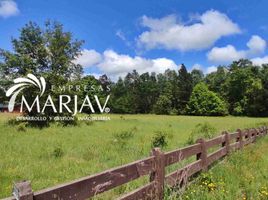  Terreno (Parcela) en venta en Araucanía, Villarrica, Cautín, Araucanía