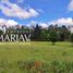  Terreno (Parcela) en venta en Araucanía, Villarrica, Cautín, Araucanía