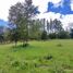  Terreno (Parcela) en venta en Araucanía, Villarrica, Cautín, Araucanía