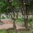  Terreno (Parcela) en venta en Quezon City, Metro Manila, Quezon City, Eastern District, Metro Manila