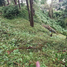  Land for sale in Itogon, Cordillera, Itogon