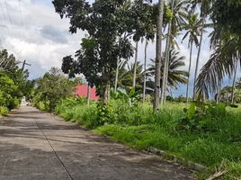  Grundstück zu verkaufen in Negros Occidental, Negros Island Region, Bacolod City