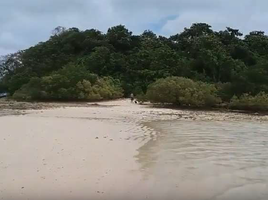  Grundstück zu verkaufen in Surigao del Norte, Caraga, General Luna