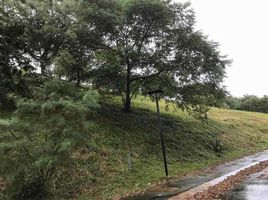  Terreno (Parcela) en venta en Calamba City, Calabarzon, Calamba City, Laguna, Calabarzon, Filipinas