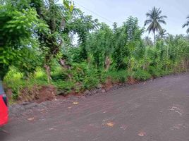  Land for sale in Davao del Sur, Davao, Davao City, Davao del Sur