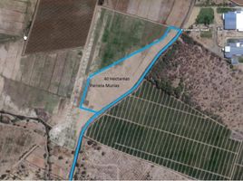  Grundstück zu verkaufen in Castilla, Piura, Castilla, Piura, Piura, Peru