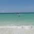  Terreno (Parcela) en venta en Progreso, Yucatán, Progreso