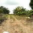  Land for sale in General Trias City, Calabarzon, General Trias City