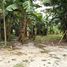  Land for sale in General Trias City, Calabarzon, General Trias City
