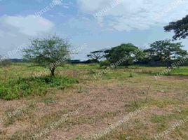  Terreno (Parcela) en venta en Samborondón, Guayas, Samborondon, Samborondón