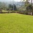  Land for sale in Envigado, Antioquia, Envigado