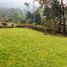  Land for sale in Envigado, Antioquia, Envigado