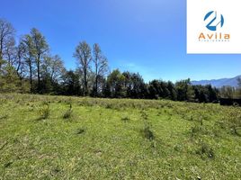  Land for sale in Chile, Pucon, Cautin, Araucania, Chile