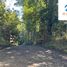  Land for sale in Chile, Pucon, Cautin, Araucania, Chile