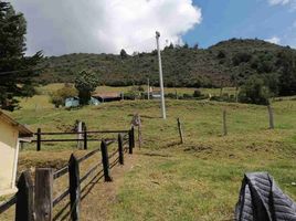  Terrain for sale in Sesquile, Cundinamarca, Sesquile