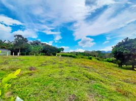  Land for sale in Ibague, Tolima, Ibague