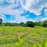  Land for sale in Tolima, Ibague, Tolima