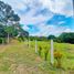  Land for sale in Tolima, Ibague, Tolima