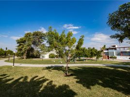  Grundstück zu verkaufen in Castilla, Piura, Castilla, Piura, Piura