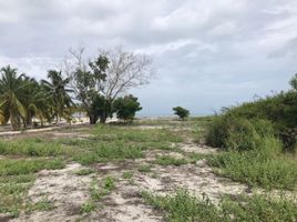  Grundstück zu verkaufen in Chame, Panama Oeste, Punta Chame