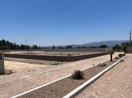  Grundstück zu verkaufen in Allende, Guanajuato, Allende