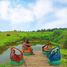  Land for sale in Ubay, Central Visayas, Ubay, Bohol