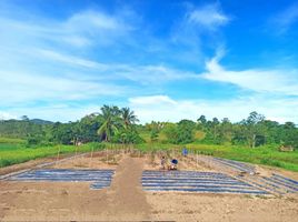  Land for sale in Ubay, Central Visayas, Ubay, Bohol