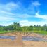  Land for sale in Ubay, Central Visayas, Ubay