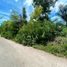  Land for sale in Argao, Cebu, Argao