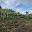  Land for sale in Central Visayas, Cebu City, Cebu, Central Visayas