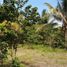  Terrain for sale in Island Garden Samal City, Davao del Norte, Island Garden Samal City