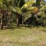  Terrain for sale in Island Garden Samal City, Davao del Norte, Island Garden Samal City