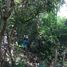  Land for sale in Nasugbu, Calabarzon, Nasugbu