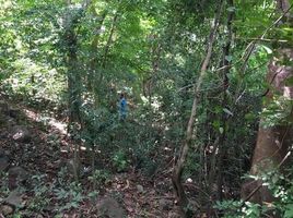  Land for sale in Nasugbu, Calabarzon, Nasugbu