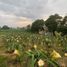  Terreno (Parcela) en venta en Tuy, Calabarzon, Tuy