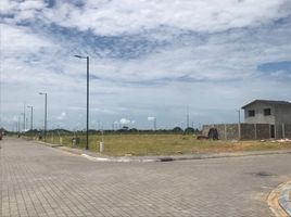  Land for sale in Samborondon, Guayas, Samborondon, Samborondon