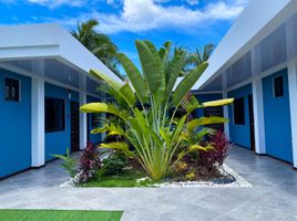 6 chambre Villa for sale in Bohol, Central Visayas, Dauis, Bohol