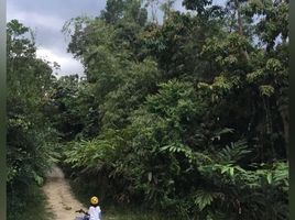  Terreno (Parcela) en venta en Bentong, Pahang, Bentong, Bentong