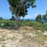  Land for sale in Cebu Central Visayas, Sibonga