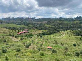 3 Habitación Casa en venta en Pereira, Risaralda, Pereira