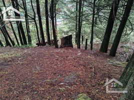  Land for sale in Mineral Del Chico, Hidalgo, Mineral Del Chico