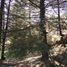  Land for sale in Mineral Del Chico, Hidalgo, Mineral Del Chico