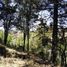  Land for sale in Mineral Del Chico, Hidalgo, Mineral Del Chico